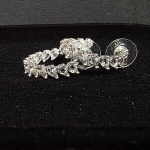 Elegant Silver Hoop Earrings